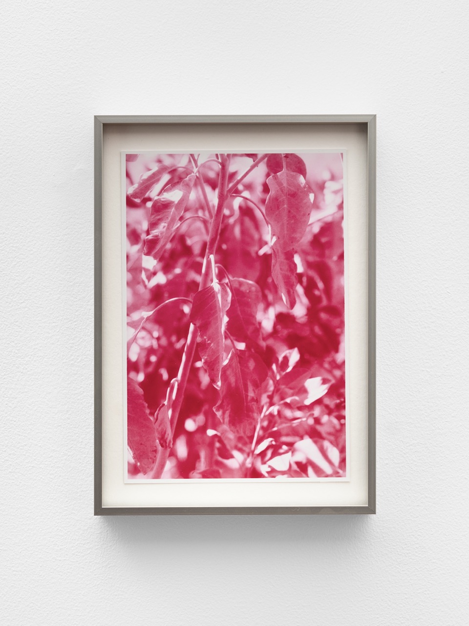 Current Exhibition Image 1